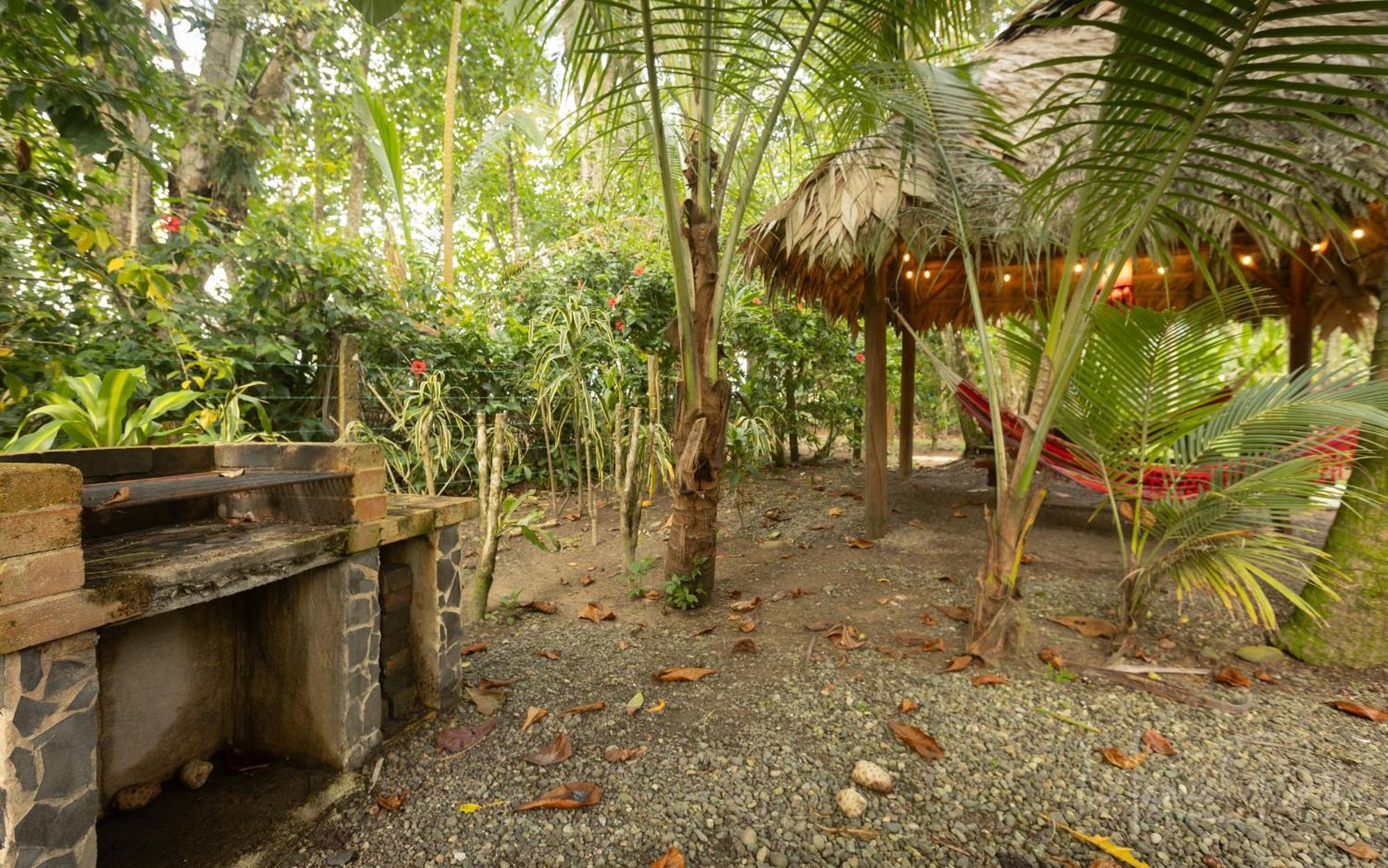 Our Beachfront Bungalow Punta Uva Exterior foto