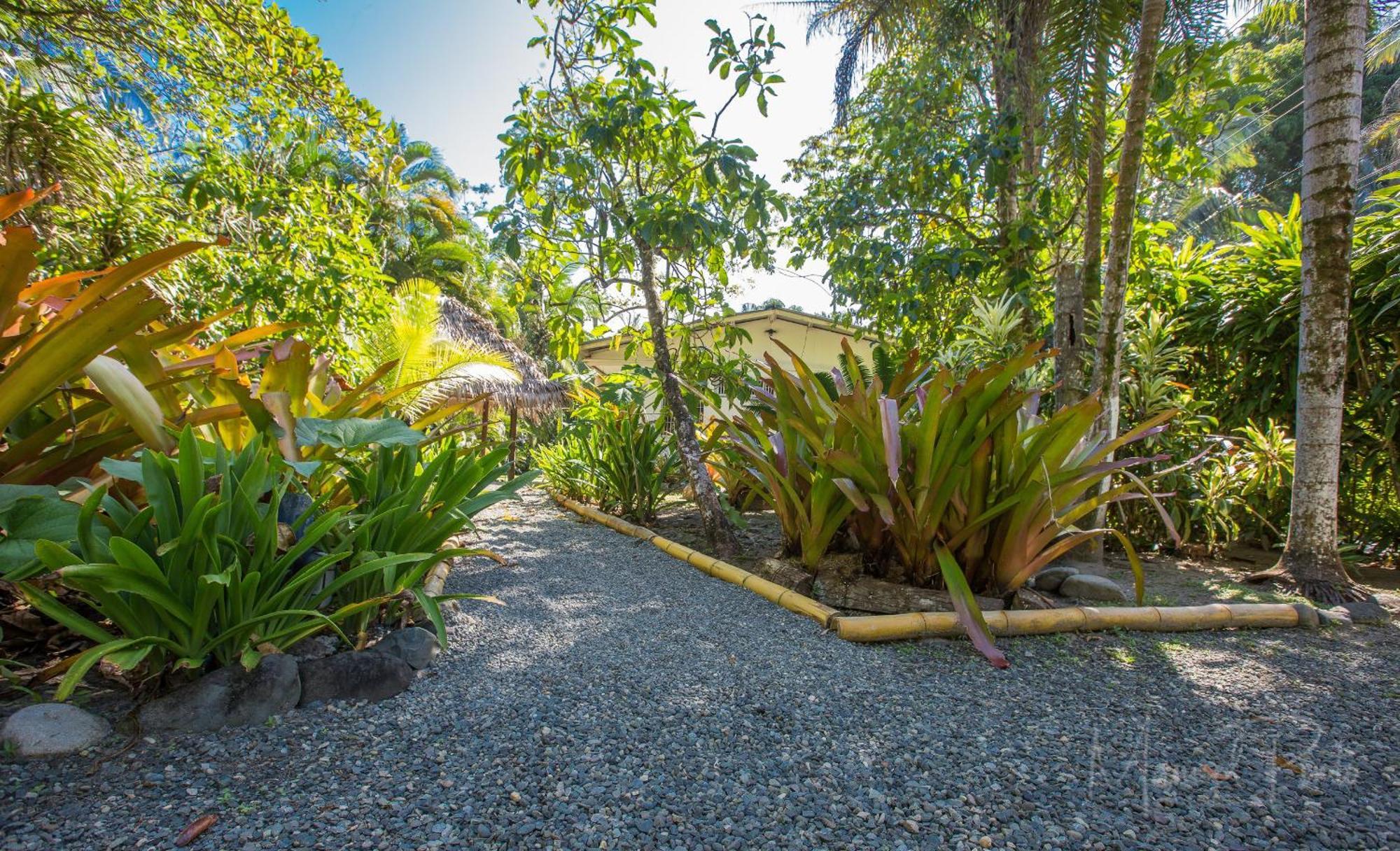 Our Beachfront Bungalow Punta Uva Exterior foto